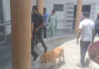 Noida News : जिला कलेक्ट्रेट में बम की सूचना