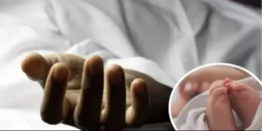 Ghaziabad News : अस्पताल प्रबंधन के लापरवाही के चलते प्रसव के दौरान हुई थी महिला की मौत ,जांच समिति ने पाया दोषी