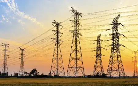 Noida News : हिंडन डूब क्षेत्र में रहने वाले लोगों को मिलेगा अस्थाई बिजली कनेक्शन, मुख्यमंत्री ने लिया संज्ञान