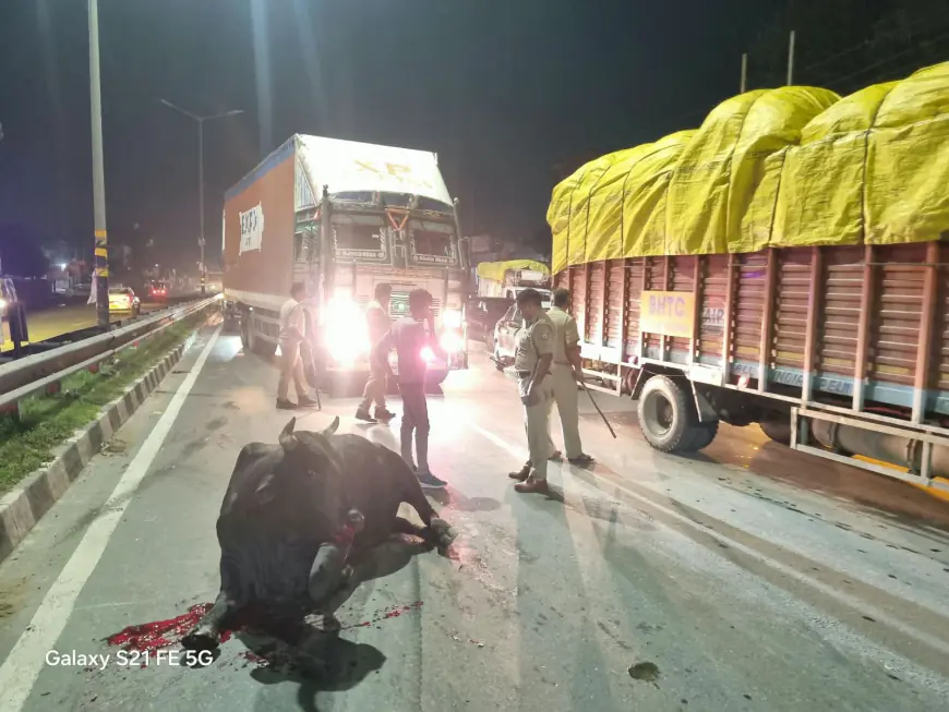 Greater Noida News : सांड से टकराया ट्रक, अनियंत्रित होकर पलटा