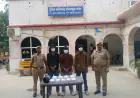 Greater Noida News : तीन साइबर अपराधी गिरफ्तार