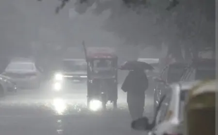 Noida News : आंधी- बारिश में भी निर्वाध रूप से जारी रहेगी बिजली सप्लाई, 6 सेक्टर में डाली जा रही है एलवीसीसी लाइन