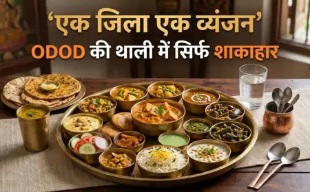 Noida News : यूपी इंटरनेशनल ट्रेड शो के बाद एक जनपद एक व्यंजन  राष्ट्रीय मंच पर देगा दस्तक