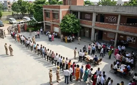 Noida News : मेरठ खंड स्नातक एवं शिक्षक एमएलसी निर्वाचन के लिए मतदान शुरू